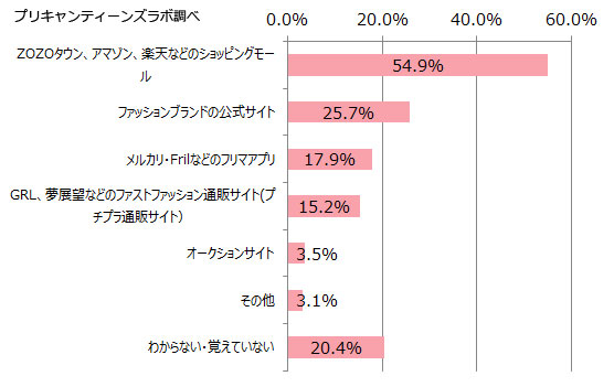 ファッションアイテムをネット上のどこで購入しますか？